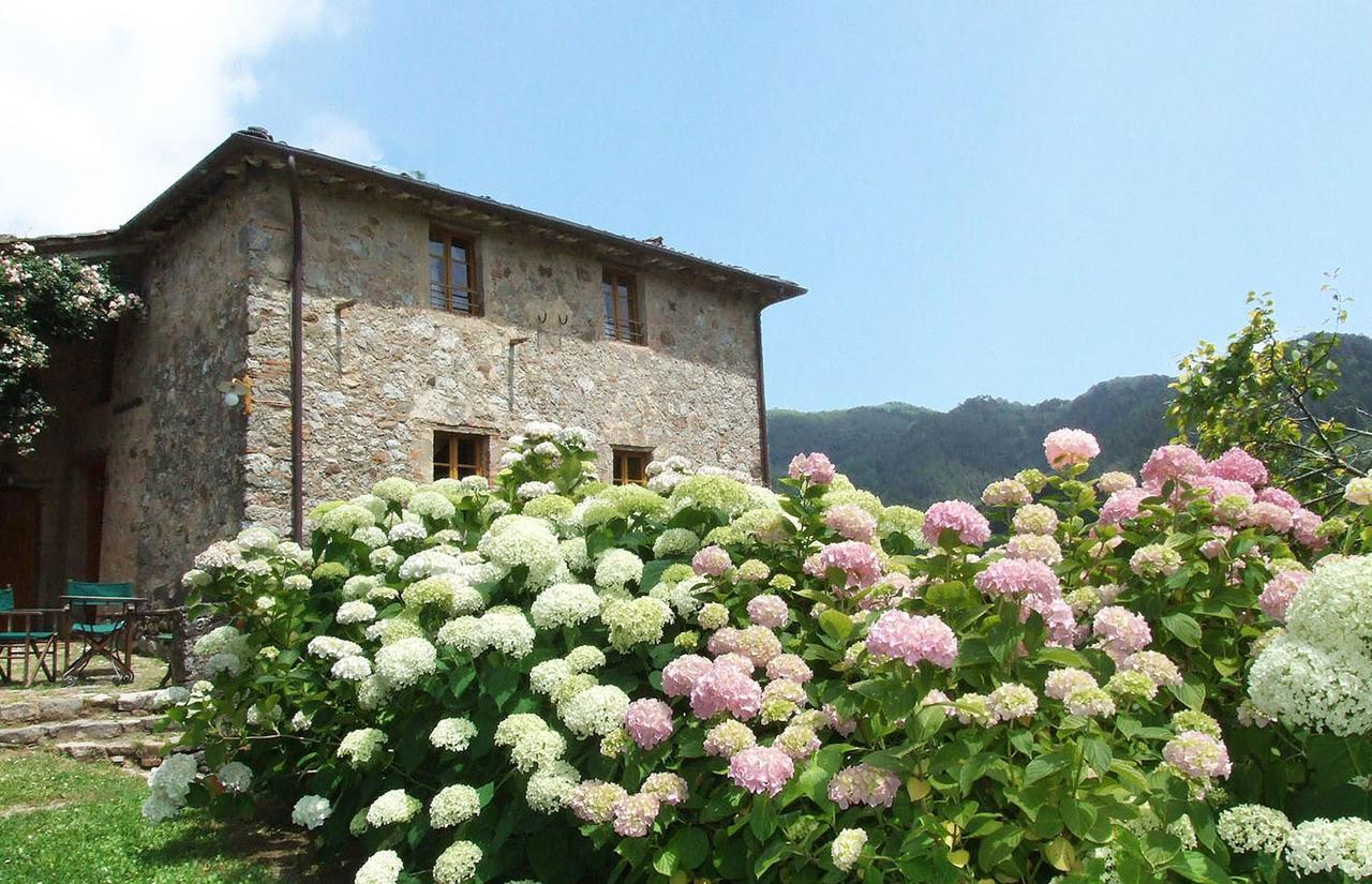 Villa Bottino By Salogi Villas San Martino in Freddana Extérieur photo